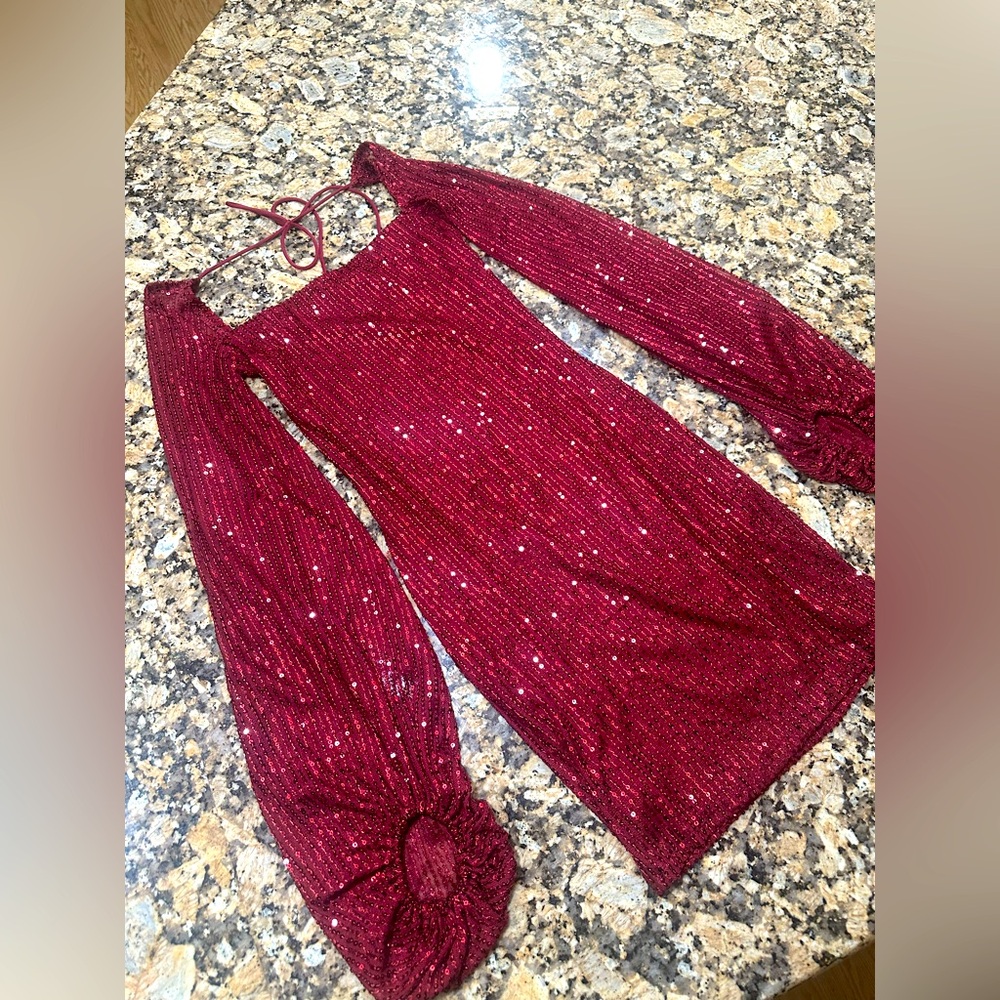xs burgandy lucy in the sky long sleeve dress never worn